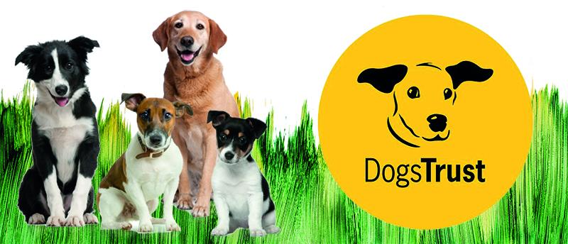 Dogs Trust charity logo - Clear House proudly supports animal welfare