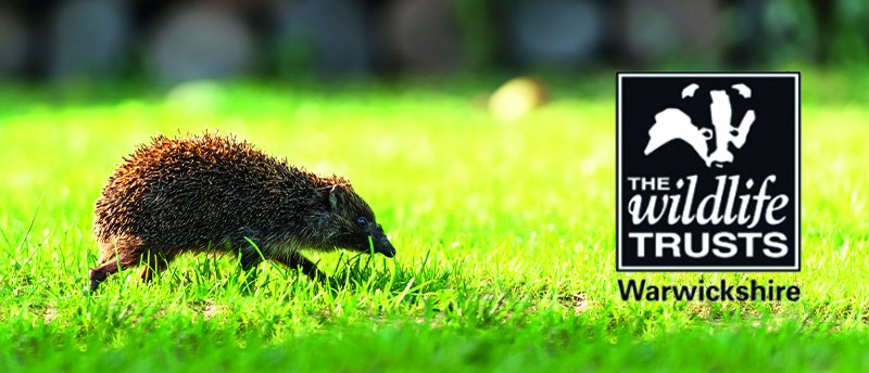 Warwickshire Wildlife Trust logo - Clear House supports wildlife conservation